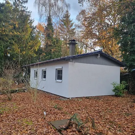 Strandresidenz Wittower Heide Feriehus