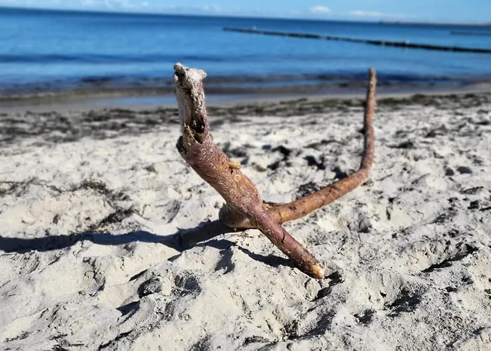 Strandresidenz Wittower Heide